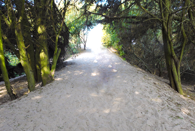 Subida por el m&eacute;dano